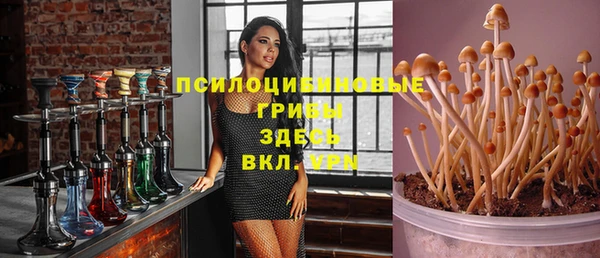 дурь Балахна