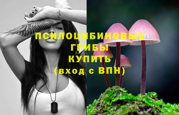 a pvp Балабаново