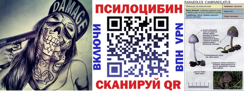 MEGA ONION Бронницы Псилоцибиновые грибы Psilocybe наркота